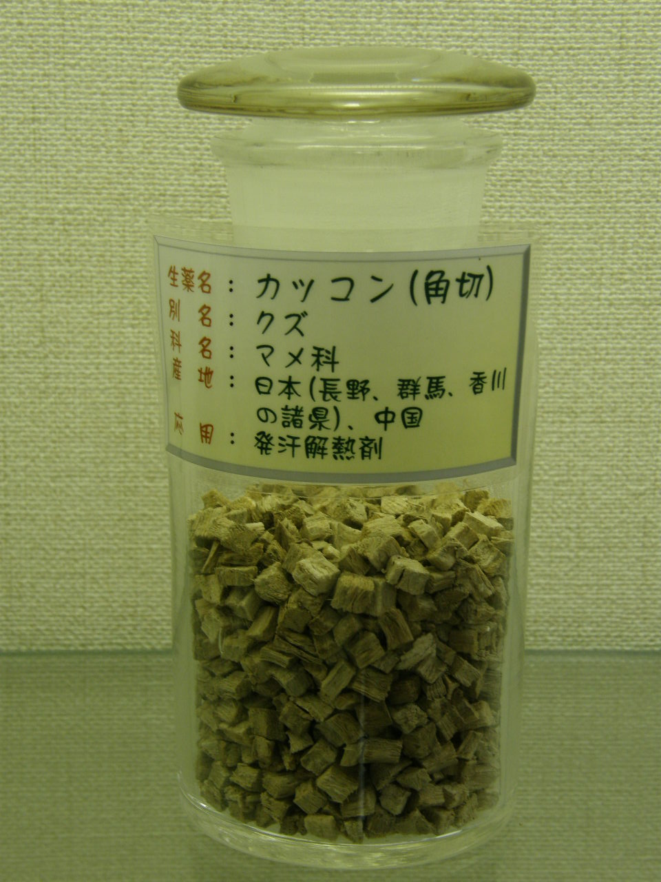 標本瓶內的葛根角切乾燥根塊
